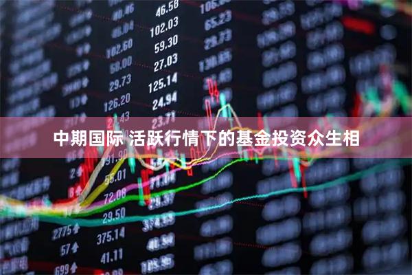 中期国际 活跃行情下的基金投资众生相