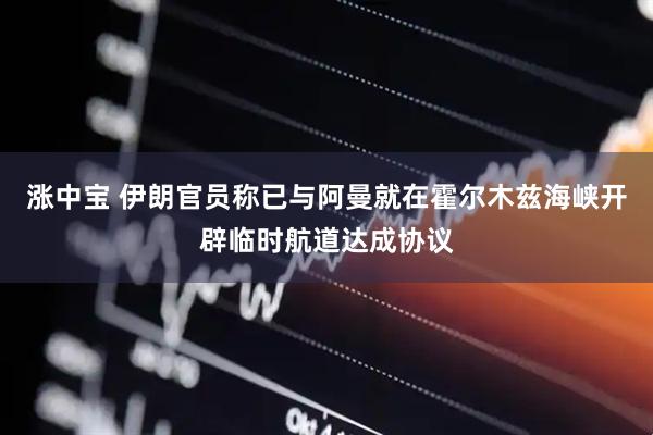 涨中宝 伊朗官员称已与阿曼就在霍尔木兹海峡开辟临时航道达成协议