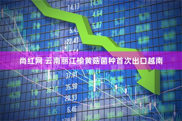 尚红网 云南丽江榆黄菇菌种首次出口越南